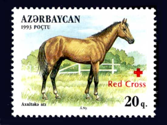 Akhalteki Horse (Equus ferus caballus) - Overprint