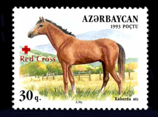 Kabarda Horse (Equus ferus caballus) - Overprint