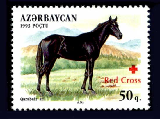 Qarabair Horse (Equus ferus caballus) - Overprint