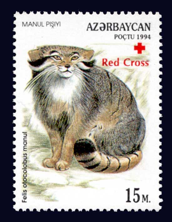 Pallas's Cat (Otocolobus felis manul) - Overprint