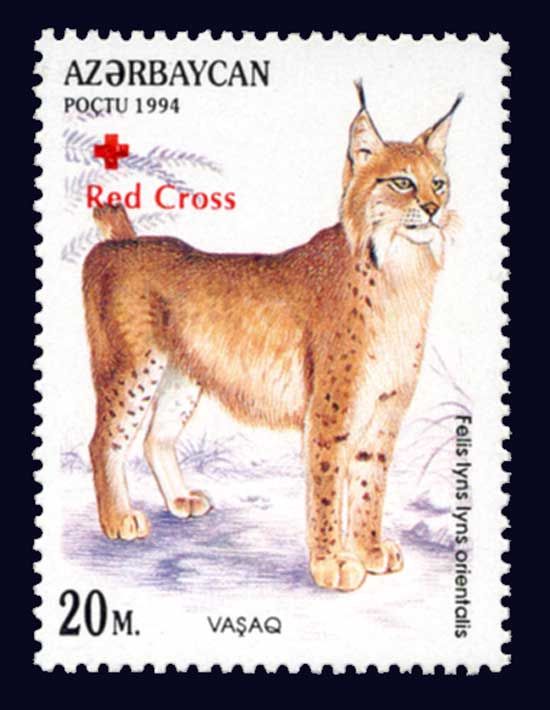 Lynx (Felis lyns lyns orientalis) - Overprint