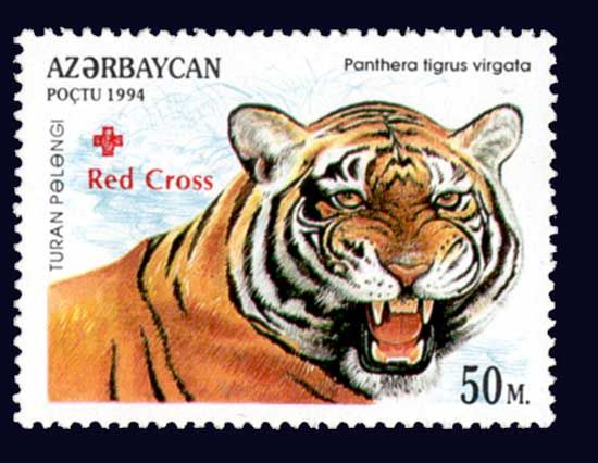 Caspian Tiger (Panthera tigris virgata) - Overprint