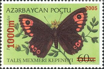 Butterfly (Pararge adrastoides) - Surcharge and Overprint