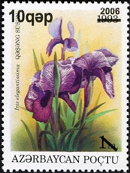 Iris elegantissima - Surcharge and Overprint