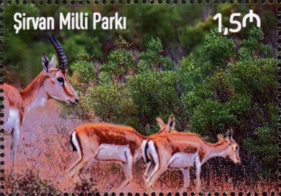 Shirvan National Park