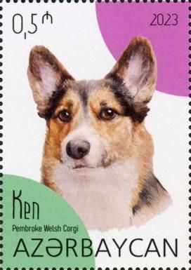 Ken - Pembroke Welsh Corgi