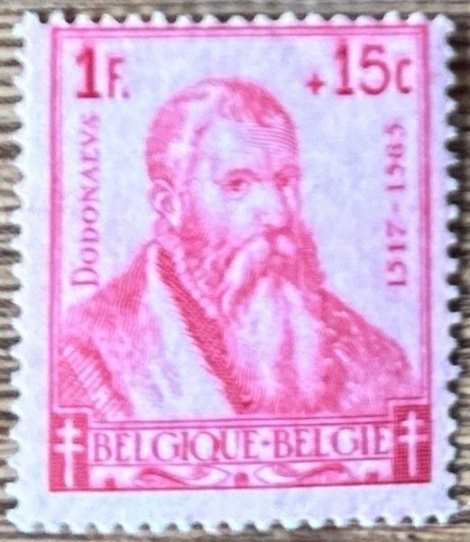 Rembert Dodoens (1517-1585)