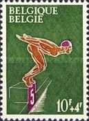 Swimming - Race Start