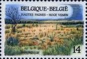 High Fens - Natural Park