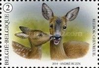 Western Roe Deer (Capreolus capreolus)