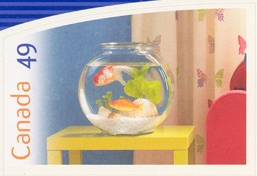 Goldfish (Carassius gibelio forma auratus)