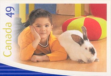 Domestic Rabbit (Oryctolagus cuniculus domesticus)