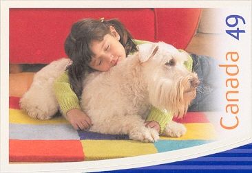 Dog (Canis lupus familiaris)