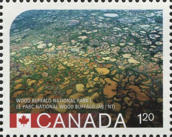 Wood Buffalo National Park