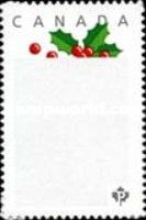 Holly
