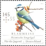 Blue Tit (Cyanistes caeruleus)