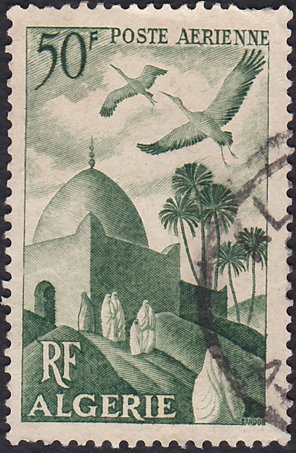 White Stork (Ciconia ciconia) over Minaret