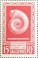 Berbericeras sekikensis