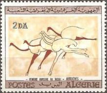 Fleeing Ostriches