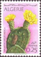 Prickly Pear (Opuntia ficus-indica)