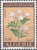 Jasminum