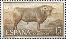 Fighting Bull