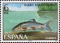 Barbel (Barbus barbus)