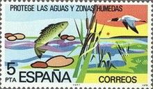 Conservation of Rivers and Wetlands