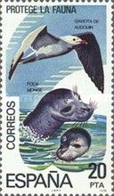 Conservation of Fauna
