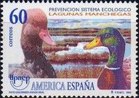 Red-crested Pochard, Mallard and Lagoon of La Mancha