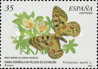 Apollo (Parnassius apollo)