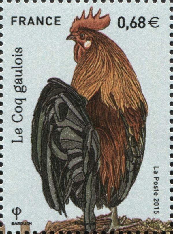 Gauloise Dorée (Gallus gallus domesticus)