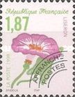 Morning glory (Calystegia pulchra)