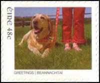 Labrador at the Feet of a Girl