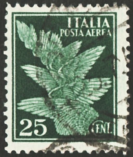 Airmail - Wings