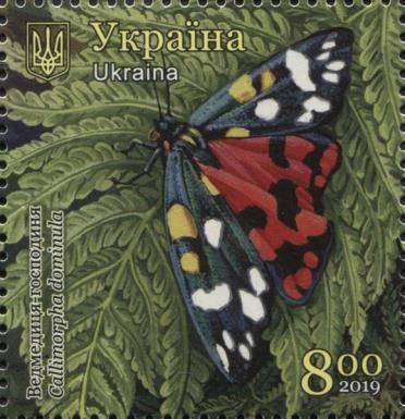 Scarlet Tiger Moth (Callimorpha dominula)