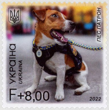 Dog Patron