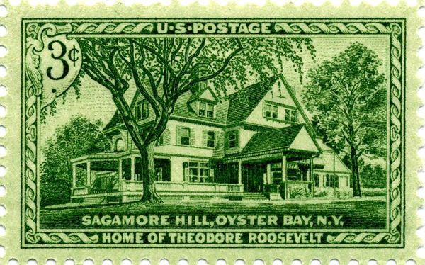 Opening of Theodore Roosevelt's Home