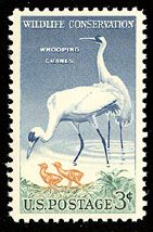 Wildlife Conservation