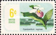 Showy Lady's-slipper (Cypripedium reginae)