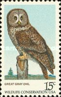 Great Grey Owl (Strix nebulosa)