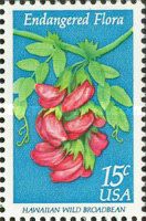 Hawaiian Wild Broadbean