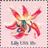 Lily
