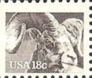 Bighorn Sheep (Ovis canadensis)