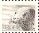 Harbour Seal (Phoca vitulina)