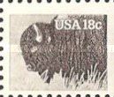 American Bison (Bos bison)