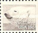 Polar Bear (Ursus maritimus)