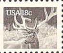 Wapiti (Cervus canadensis)