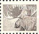 Moose (Alces alces)