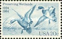 "Mallards Dropping In" (Jay N. Darling)